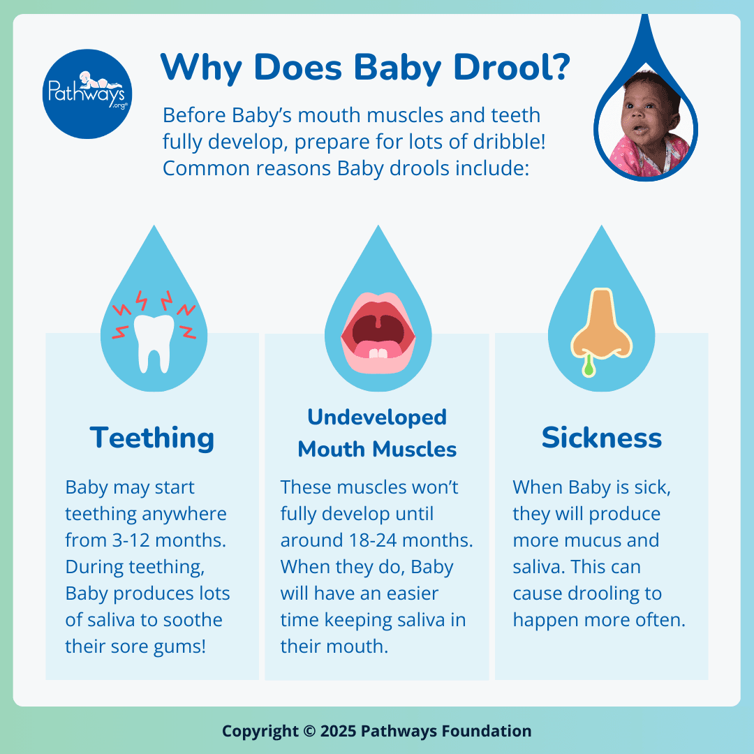 Why Does Baby Drool?