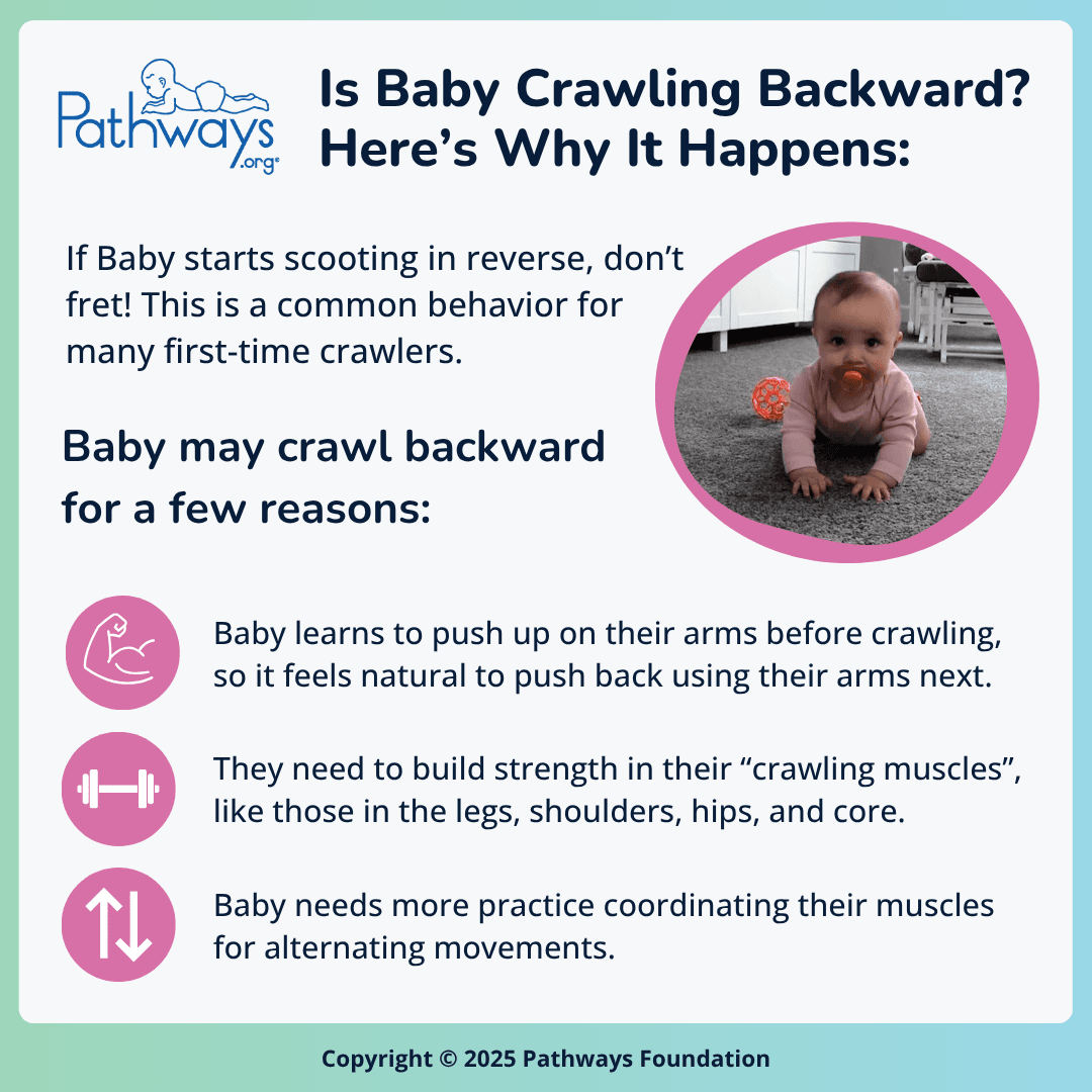  Infographic titled “Is Baby Crawling Backward? Here’s Why It Happens:” with an image of a baby scooting backward and a list of 3 reasons babies may crawl backward.