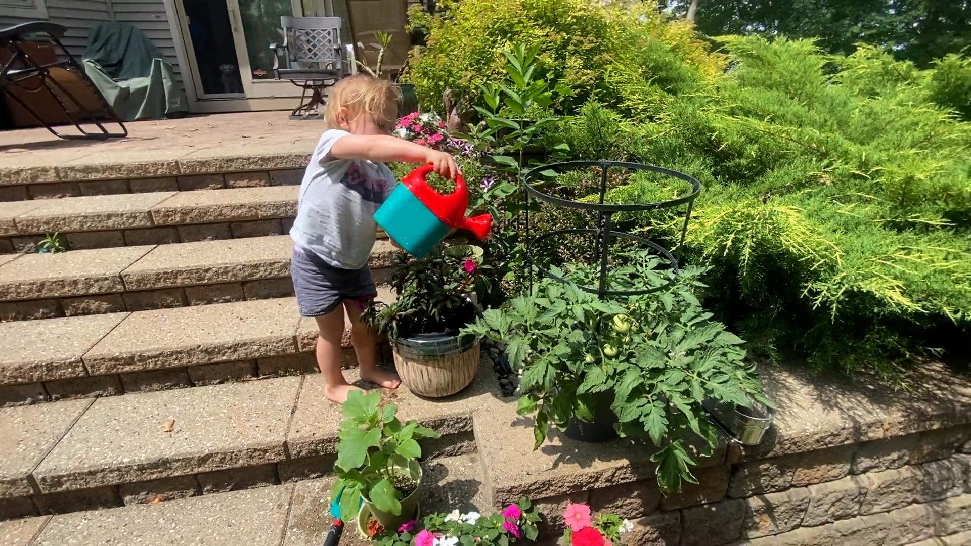 A toddler girl uses a watering can to water plants on a sunny patio.