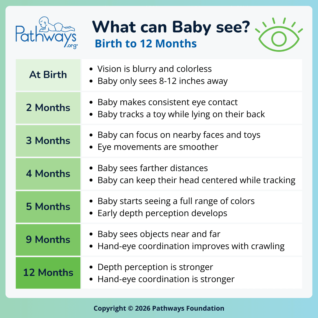 Pathways.org infographic titled, “What can Baby see? Birth to 12 Months”. A chart describes vision changes at birth, 2 months, 3 months, 4 months, 5 months, 9 months, and 12 months. At birth: vision is blurry and colorless and Baby only sees 8-12 inches away; 2 months: Baby makes consistent eye contact and tracks a toy while lying on their back; 3 months: Baby can focus on nearby faces and toys and eye movements are smoother; 4 months: Baby sees farther distances and can keep their head centered while tracking; 5 months: Baby starts seeing a full range of colors and early depth perception develops; 9 months: Baby sees objects near and far and hand-eye coordination improves with crawling; 12 months: depth perception and hand-eye coordination are stronger.