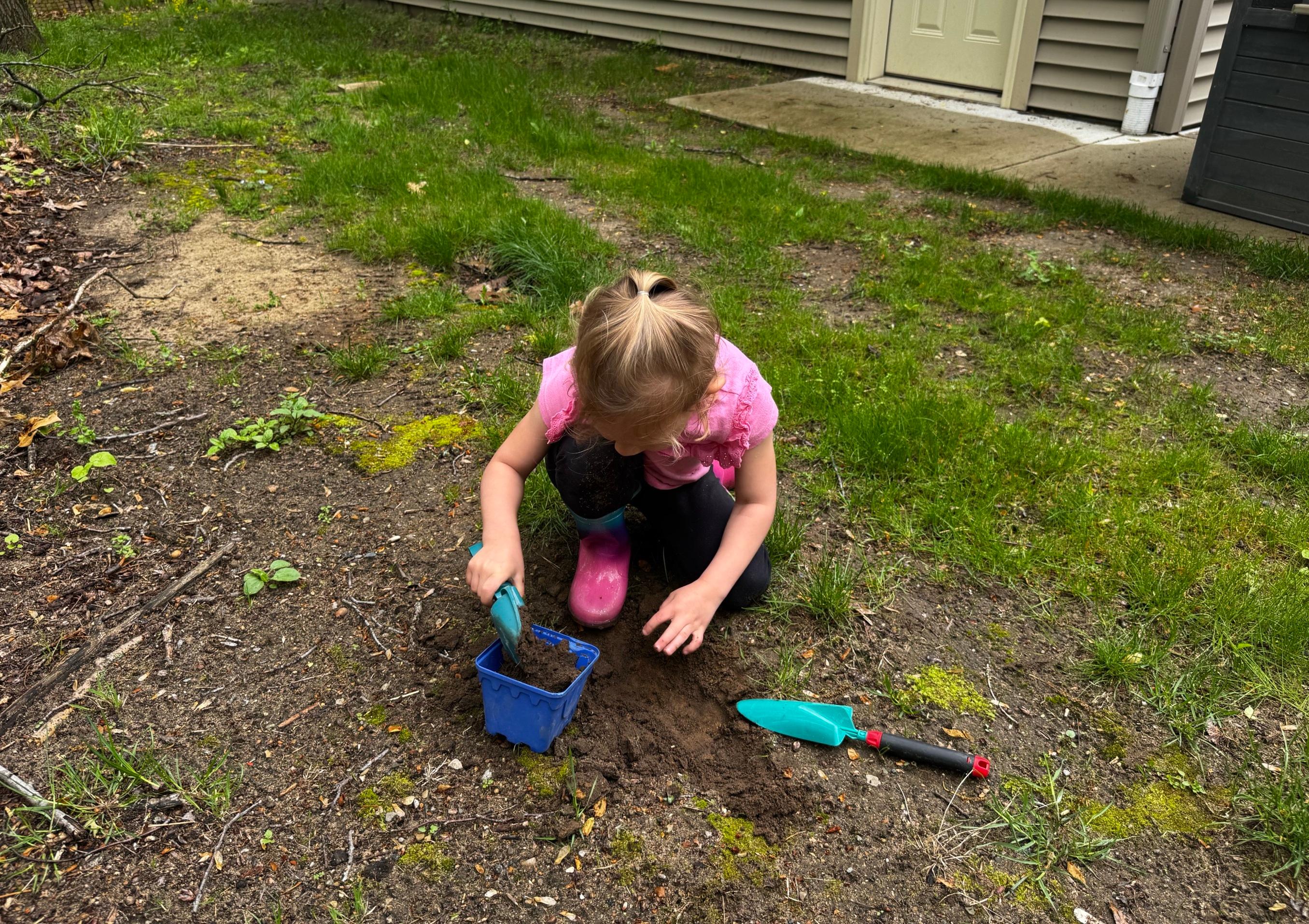 School-aged girl using a shovel to dig up dirt in her backyard.