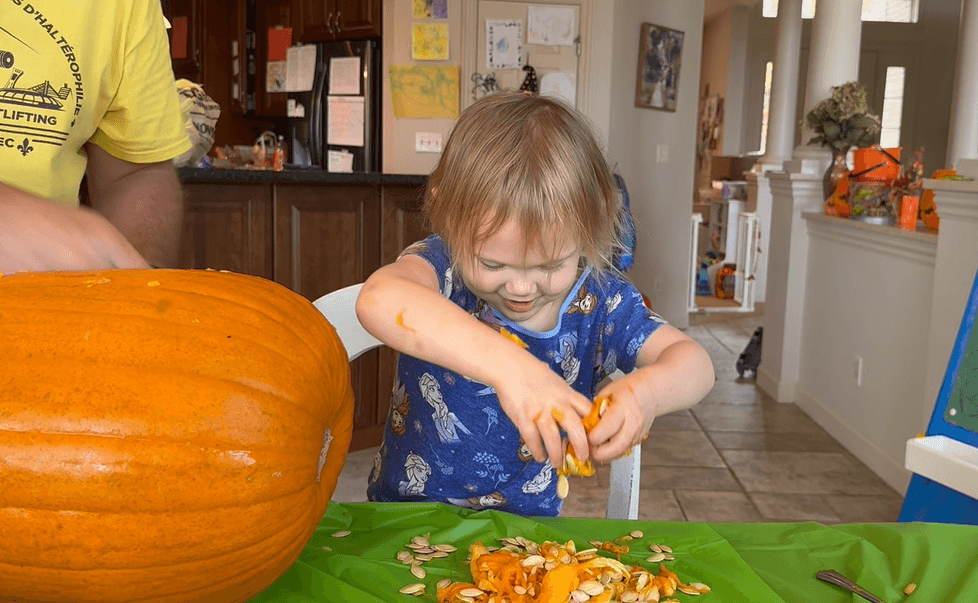 Little girl scooping out pumpkin guts and squishing them in her hands next to a large pumpkin on the table.